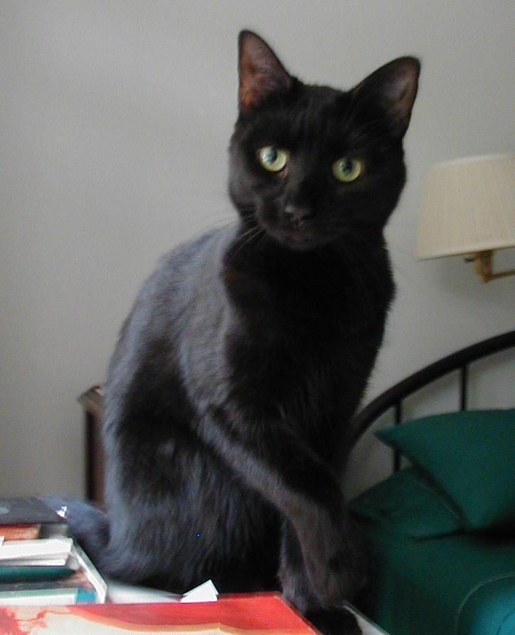 Ella