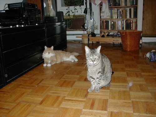Lord and Lady of the manor